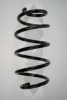 SPIDAN 85867 Coil Spring